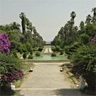 Jardin d'essai Alger